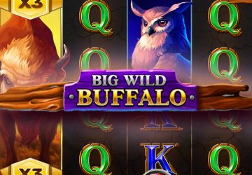 Big Wild Buffalo от Belatra