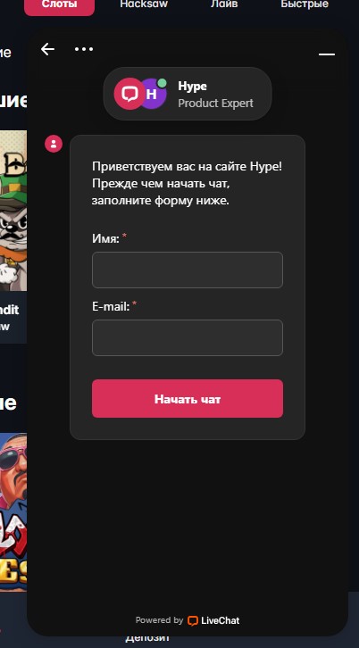Служба поддержки CasinoHype - интерфейс онлайн-чата