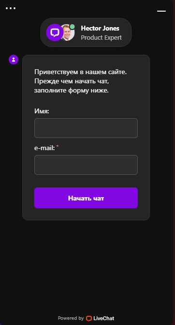 Служба поддержки Daddy Casino - интерфейс онлайн-чата