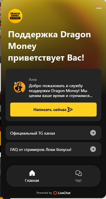 Служба поддержки Dragon Money Casino - интерфейс онлайн-чата