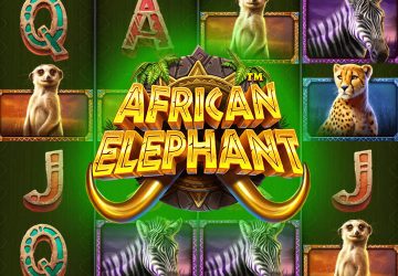 African Elephant слот от Pragmatic Play