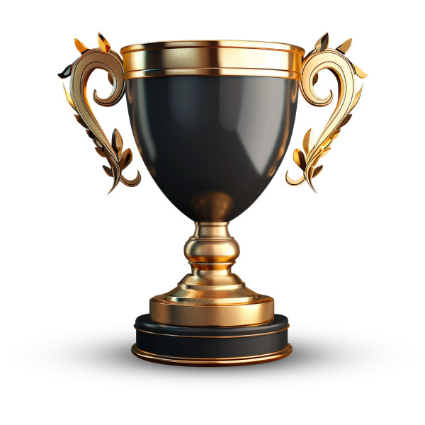 Достижения