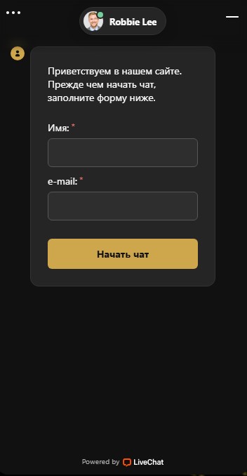 Чат поддержки R7 Casino - интерфейс онлайн-помощи